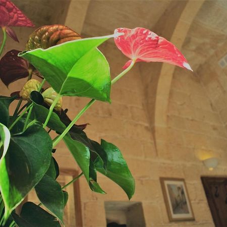 자프라 Encanto Vegetarian Bed & Breakfast B&B 외부 사진